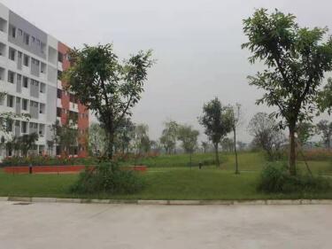 金堂中學(xué)怎么樣、好不好