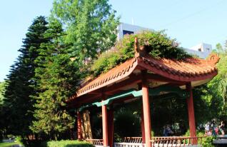 四川單招臨床醫(yī)學有哪些學校