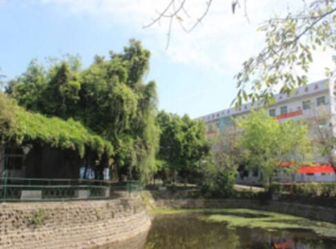 成都青華職業學校2023招生簡章