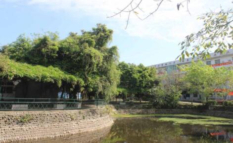 成都青華職業學校