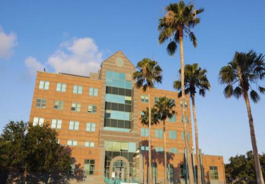 成都市文化藝術學校2022年收費標準