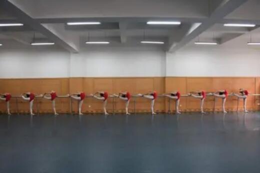 成都市文化藝術(shù)學(xué)校2023招生簡章