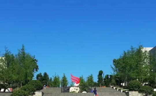 四川單招分數線一般是多少