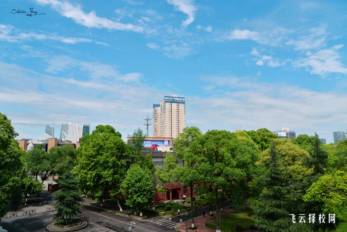 四川大學(xué)什么專業(yè)好就業(yè)