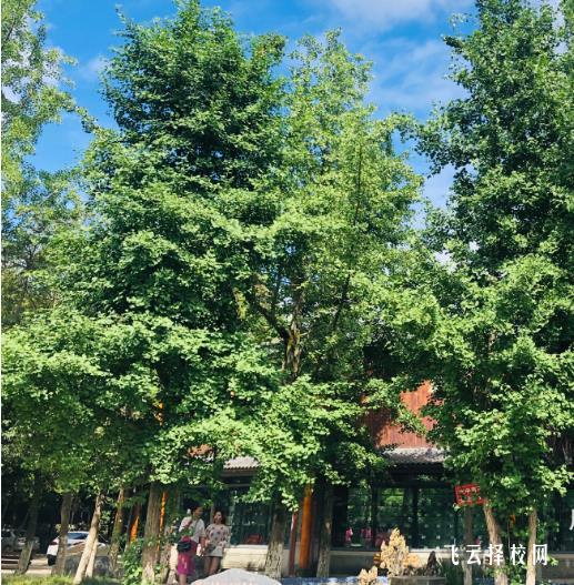 成都華大醫(yī)藥衛(wèi)生學(xué)校好不好 學(xué)校怎么樣