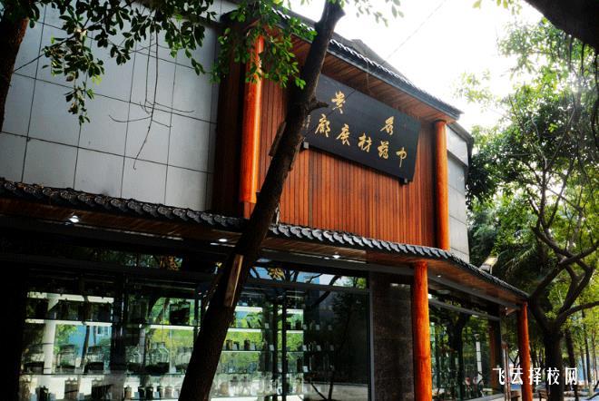 成都華大醫藥衛生學校是公辦還是民辦 靠譜嗎