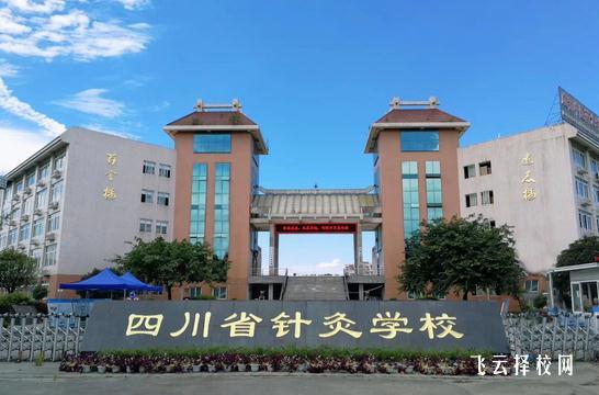 成都針灸學(xué)校是公辦學(xué)校還是民辦學(xué)校