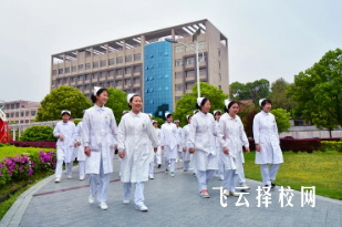 成都職高衛(wèi)校公辦排名前十是哪些