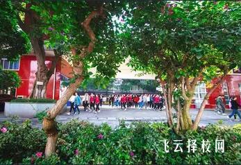 樂山一職中有哪些專業，樂山一職中有什么專業