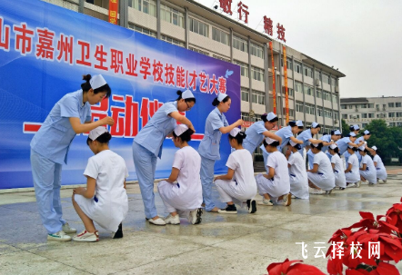 嘉州衛(wèi)校是公辦還是民辦