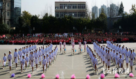 成都華大醫藥衛生學校2023錄取招生分數線