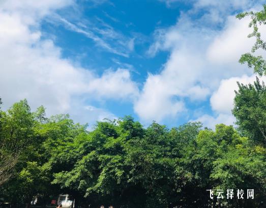 成都華大醫藥衛生學校2023錄取招生分數線