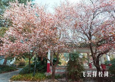 廣元雪峰職高收費(fèi)標(biāo)準(zhǔn)及學(xué)費(fèi)