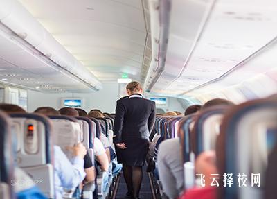 沒學(xué)歷最吃香的職業(yè)