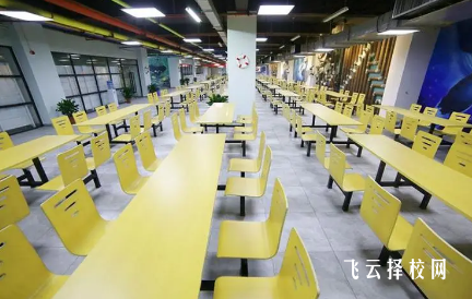 成都單招面試培訓班