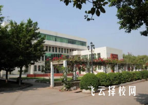 涼山衛校分數線多少2023