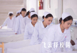 單招報名專業分類