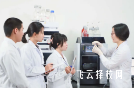 單招報名專業分類