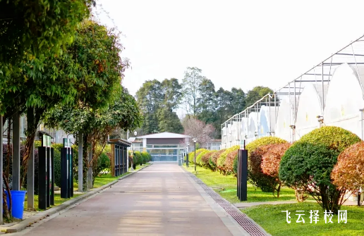 成都農業科技職業學院單招