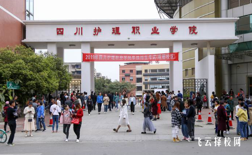 川護單招分數線2024