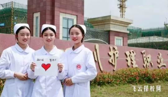 川護今年單招有助產專業嗎