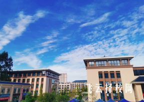 2023眉山藥科護理專業招多少人