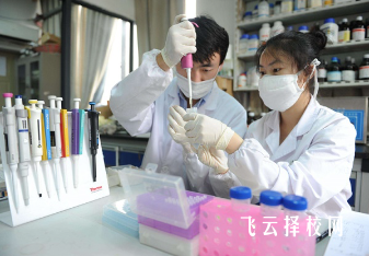 藥劑專業(yè)是學(xué)什么的