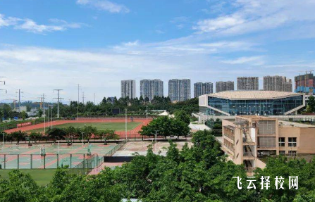 四川財經(jīng)職業(yè)學(xué)院單招專業(yè)