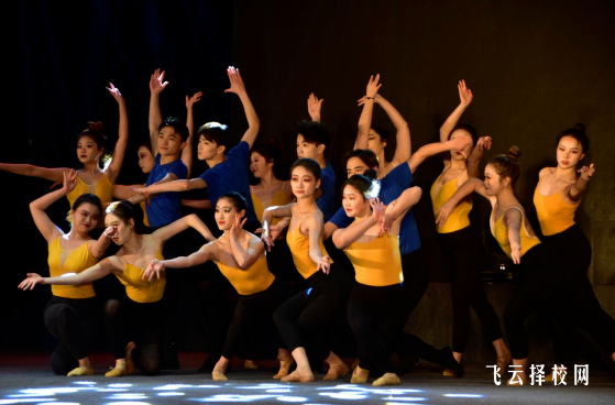 四川單招可以報考舞蹈專業嗎