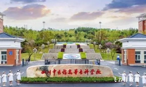 四川中醫藥高等?？茖W校2024單招專業