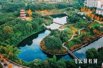 西南醫(yī)科大學(xué)醫(yī)學(xué)影像學(xué)專業(yè)介紹