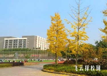 四川育英醫(yī)養(yǎng)科技技工學(xué)校護理專業(yè)介紹