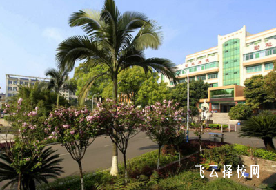 四川省食品藥品學(xué)校中醫(yī)康復(fù)技術(shù)專業(yè)介紹