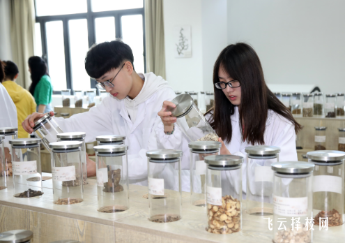 四川省食品藥品學(xué)校中藥專業(yè)介紹