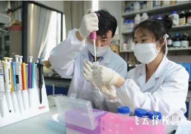 內(nèi)江衛(wèi)生與健康職業(yè)學(xué)院藥學(xué)專業(yè)介紹