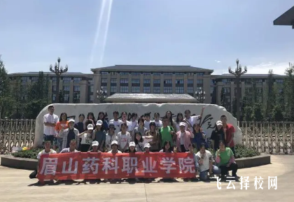 眉山藥科職業(yè)學(xué)院幼兒發(fā)展與健康管理專業(yè)介紹