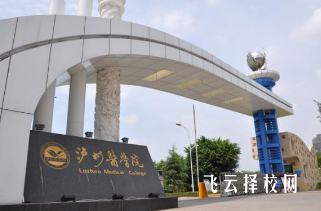 瀘州醫(yī)學(xué)院臨床醫(yī)學(xué)專業(yè)介紹