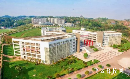 樂(lè)山職高公辦學(xué)校哪些比較好