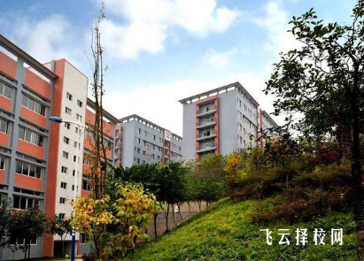 綿竹職業中專學校有哪些專業