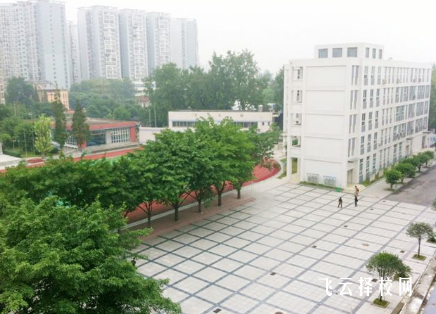 青白江前進職高招生電話