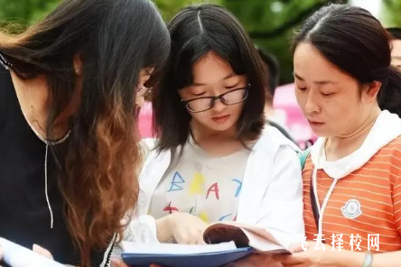 2024年四川單招報考人數