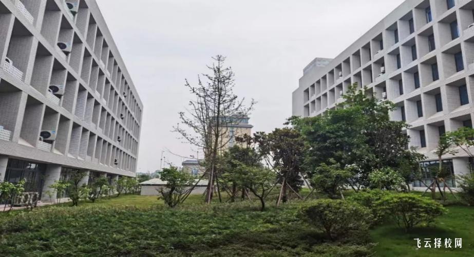 內江衛生與健康職業學院2024單招專業有哪些