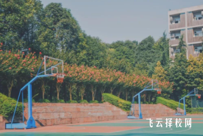 四川國際標榜職業學院2024單招專業有哪些