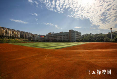 四川化工職業技術學院2024單招專業有哪些