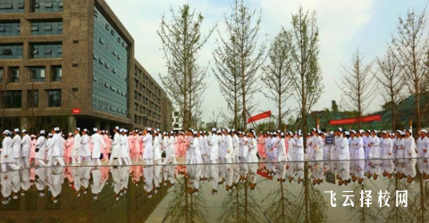 四川衛生康復職業學院2024單招專業有哪些