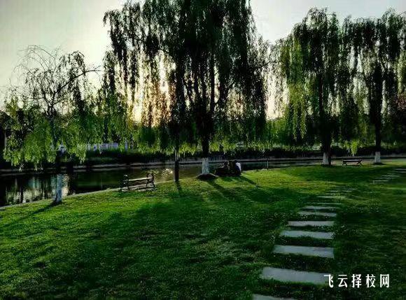 四川現(xiàn)代職業(yè)學(xué)院2024單招專業(yè)有哪些