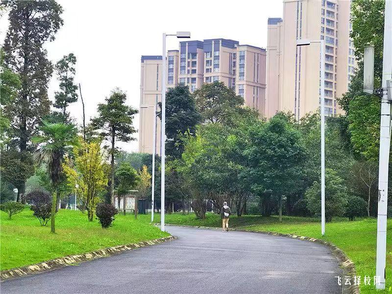 四川藝術職業學院2024單招專業有哪些