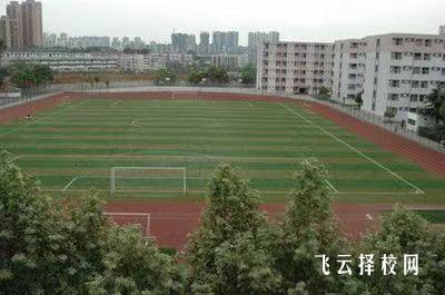 四川郵電職業技術學院2024單招專業有哪些