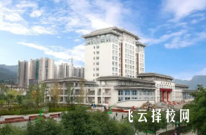 雅安職業技術學院2024單招專業有哪些