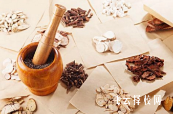 雅安職業技術學院2024單招專業有哪些